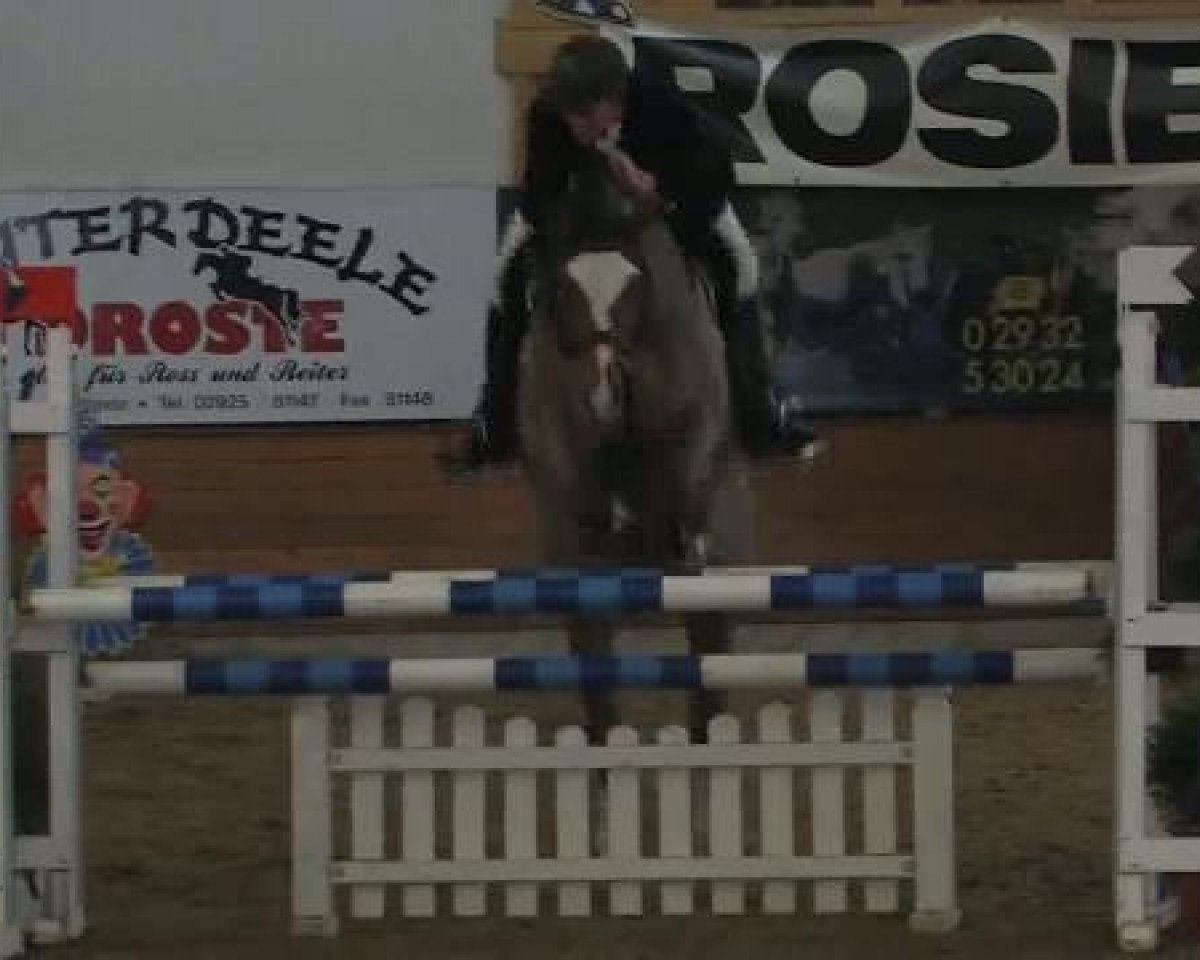 jumper Feine Puppe (Westphalian, 1994, from Federball)