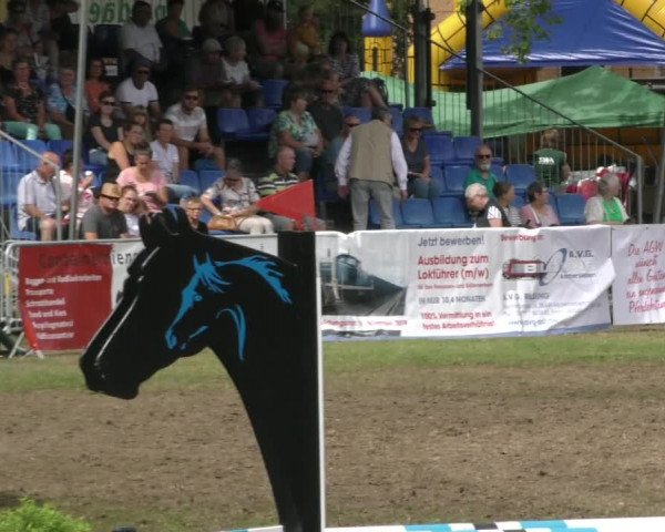 Reitturnier Aschersleben 2022