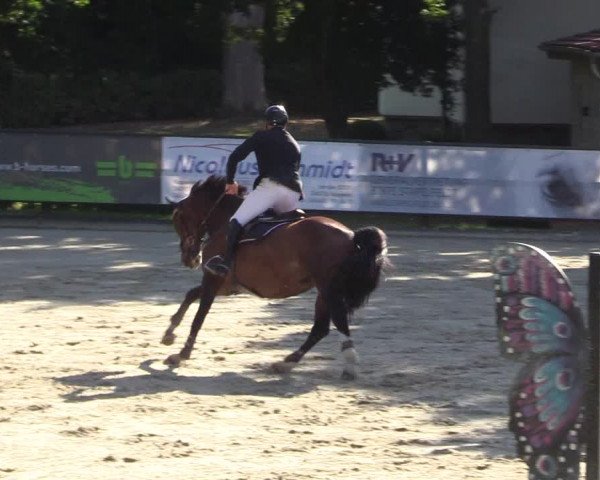 Reitturnier Schnarup-Thumby 2022