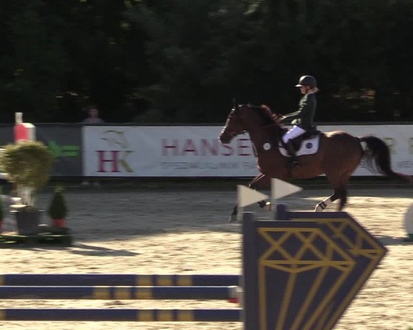 Reitturnier Schnarup-Thumby 2022