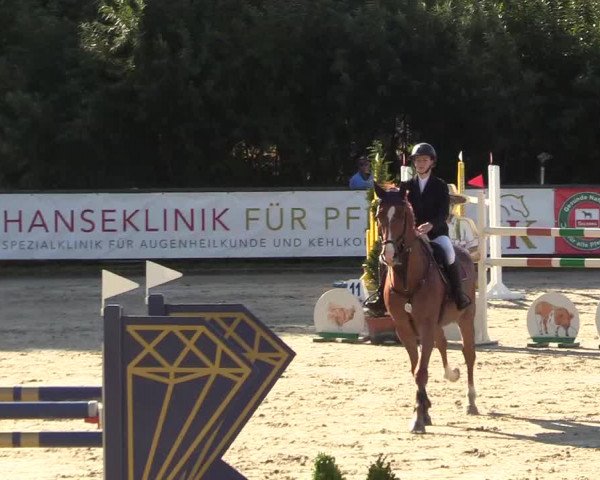 Reitturnier Schnarup-Thumby 2022
