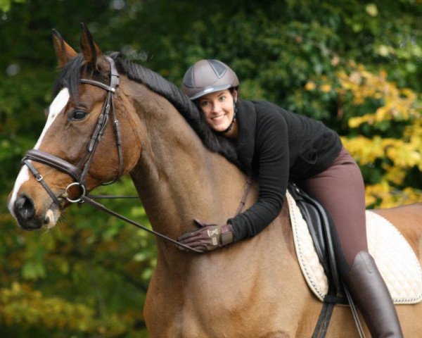 horse Kommissar Falkeno (Hanoverian, 1999, from Falkenstern II)