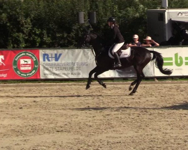 Reitturnier Schnarup-Thumby 2022