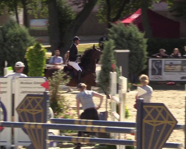 Reitturnier Schnarup-Thumby 2022