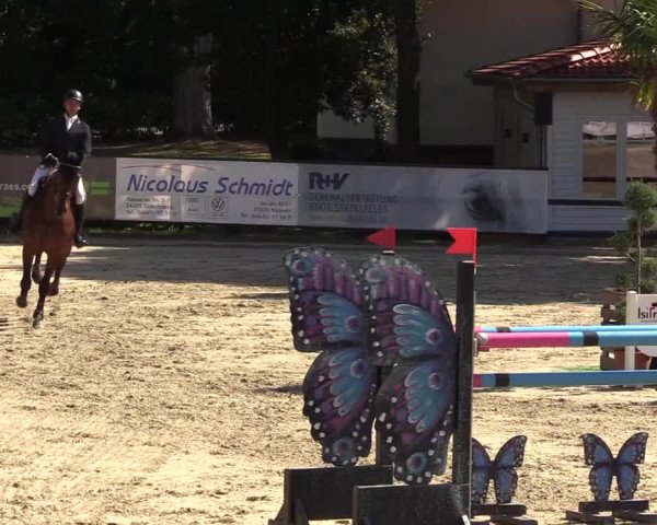 Reitturnier Schnarup-Thumby 2022