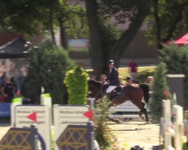 Reitturnier Schnarup-Thumby 2022