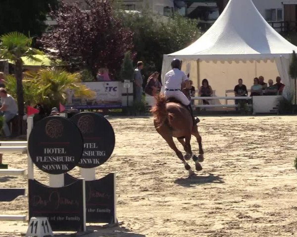 Reitturnier Schnarup-Thumby 2022