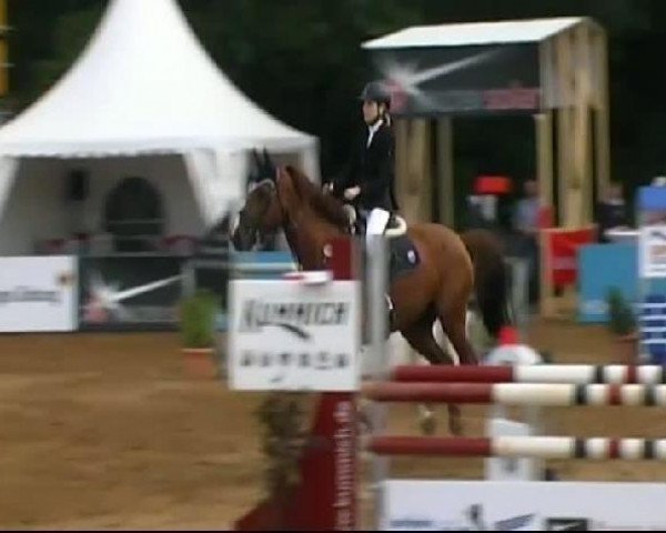 jumper E'Lucky Boy (Westphalian, 1998, from Ehrenmarsch)