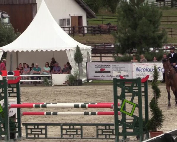 Reitturnier Schnarup-Thumby 2022