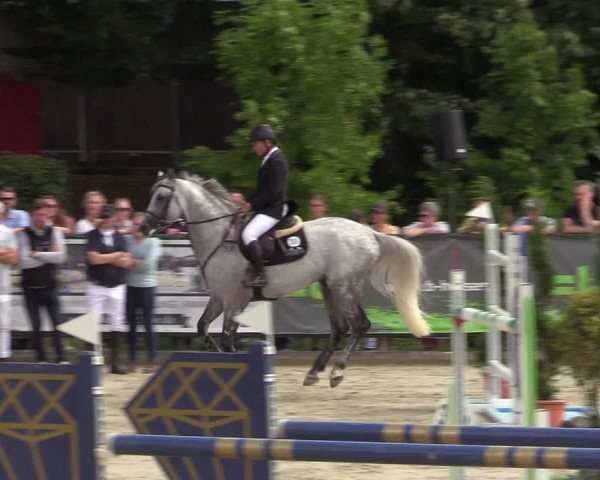 Reitturnier Schnarup-Thumby 2022