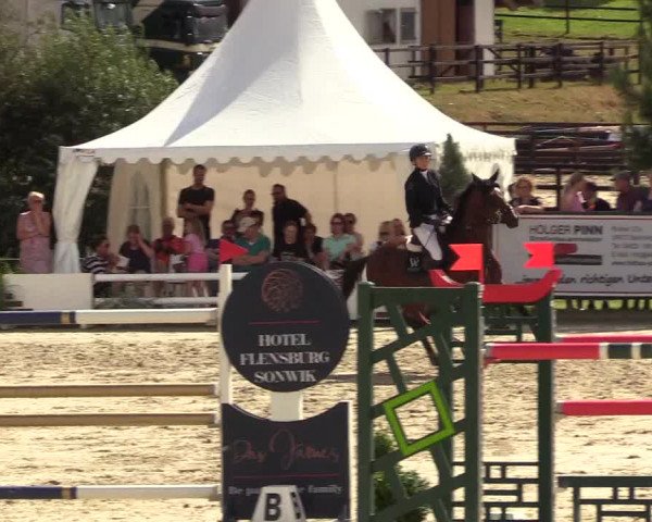 Reitturnier Schnarup-Thumby 2022