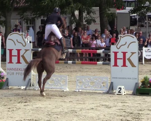 Reitturnier Schnarup-Thumby 2022