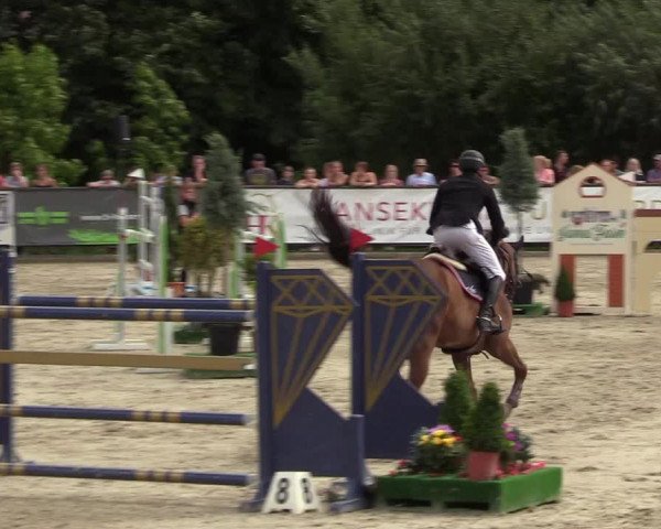 Reitturnier Schnarup-Thumby 2022