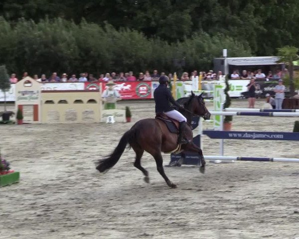 Reitturnier Schnarup-Thumby 2022