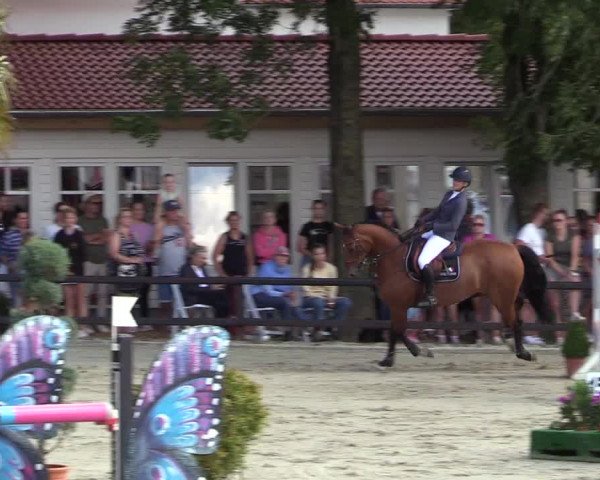 Reitturnier Schnarup-Thumby 2022