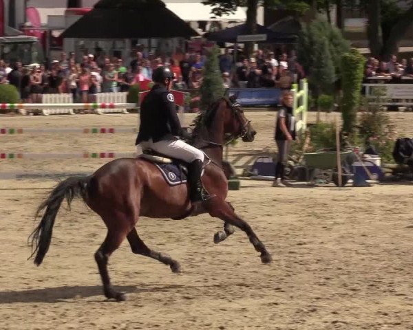 Reitturnier Schnarup-Thumby 2022