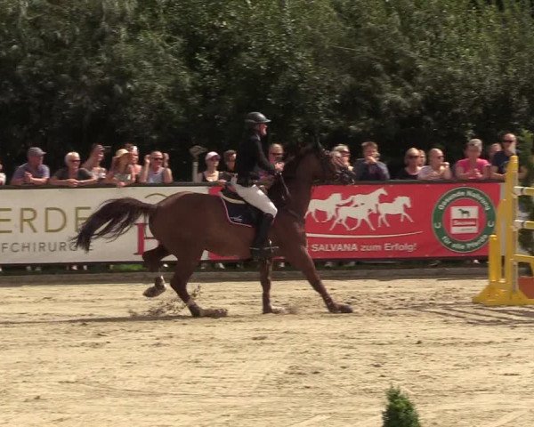 Reitturnier Schnarup-Thumby 2022