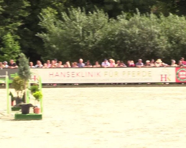 Reitturnier Schnarup-Thumby 2022