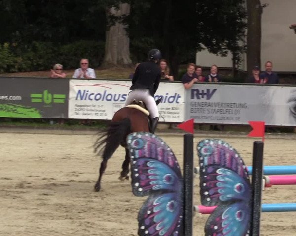 Reitturnier Schnarup-Thumby 2022