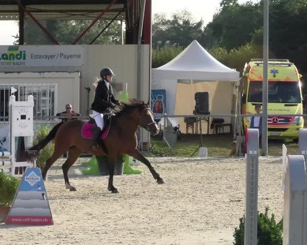 Reitturnier Dompierre 2022