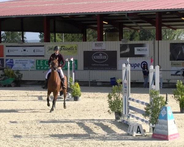 Reitturnier Dompierre 2022