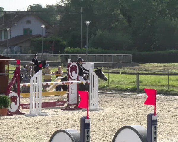 Reitturnier Dompierre 2022
