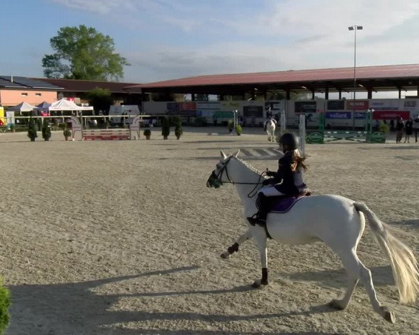 Reitturnier Dompierre 2022