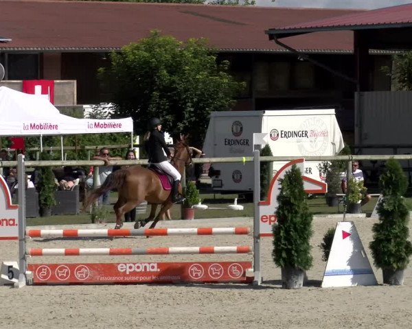 Reitturnier Dompierre 2022
