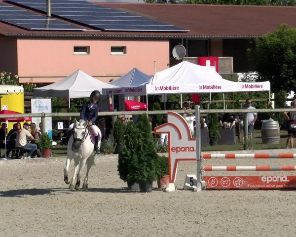Reitturnier Dompierre 2022