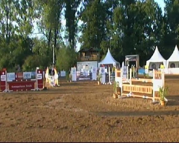 broodmare Lukimbi (Holsteiner, 2004, from Lancer II)