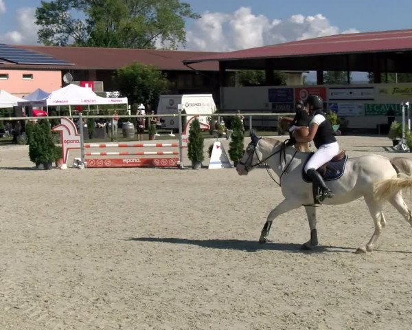 Reitturnier Dompierre 2022