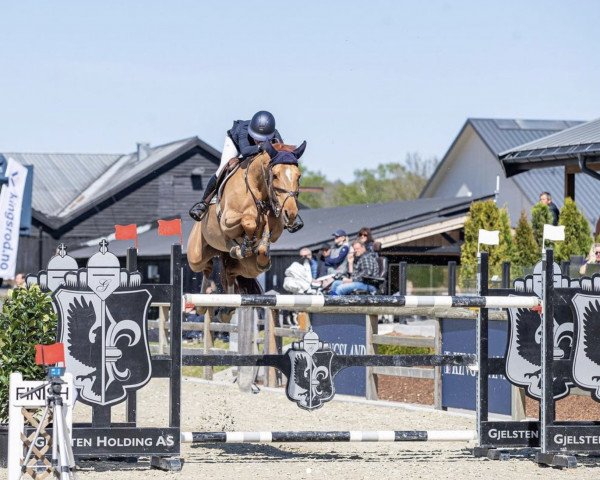 jumper Tora (Swedish Warmblood, 2013, from Toulouse)