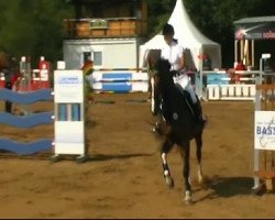 jumper Tokai 2 (KWPN (Royal Dutch Sporthorse), 2000, from Heartbreaker)