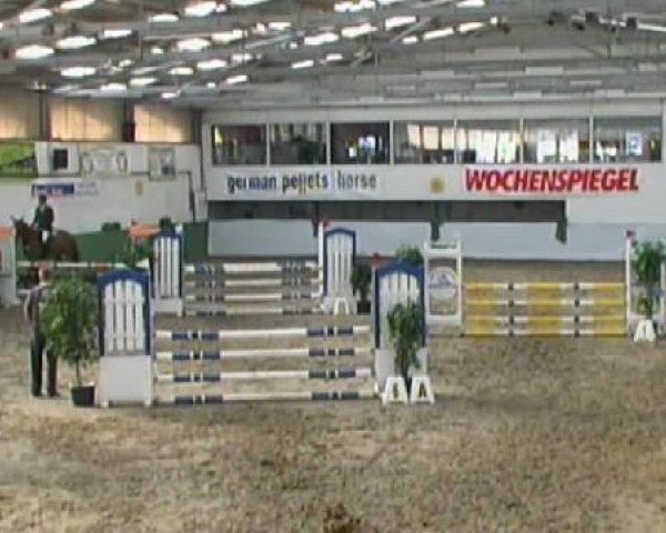 jumper Ahron Jump (Zweibrücken, 2007, from Acordelli)