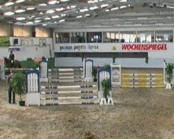 Springpferd Ahron Jump (Zweibrücker, 2007, von Acordelli)