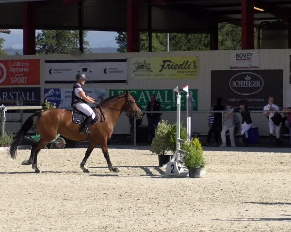Reitturnier Dompierre 2022