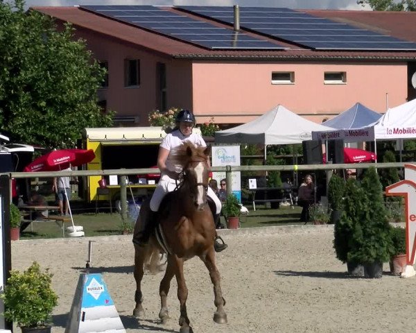 Reitturnier Dompierre 2022