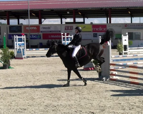 Reitturnier Dompierre 2022