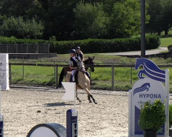 Reitturnier Dompierre 2022