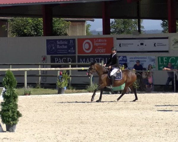 Reitturnier Dompierre 2022