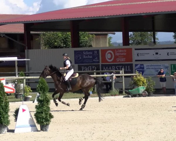 Reitturnier Dompierre 2022