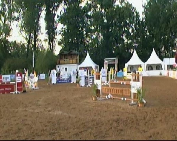 Springpferd Till 46 (Deutsches Reitpony, 1998, von Tamino I)