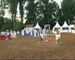 Springpferd Till 46 (Deutsches Reitpony, 1998, von Tamino I)