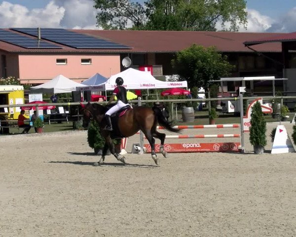 Reitturnier Dompierre 2022