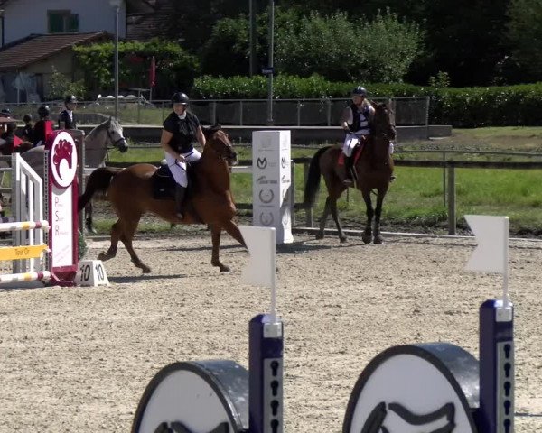 Reitturnier Dompierre 2022
