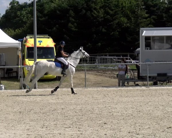 Reitturnier Dompierre 2022
