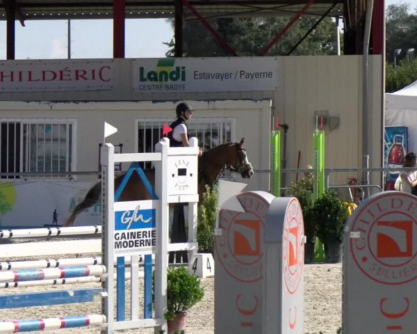Reitturnier Dompierre 2022