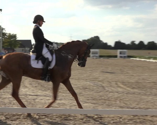 Heinsberg Classics 2022