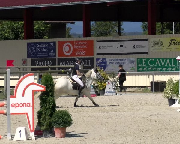 Reitturnier Dompierre 2022