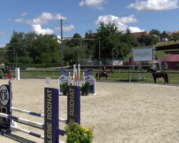 Reitturnier Dompierre 2022